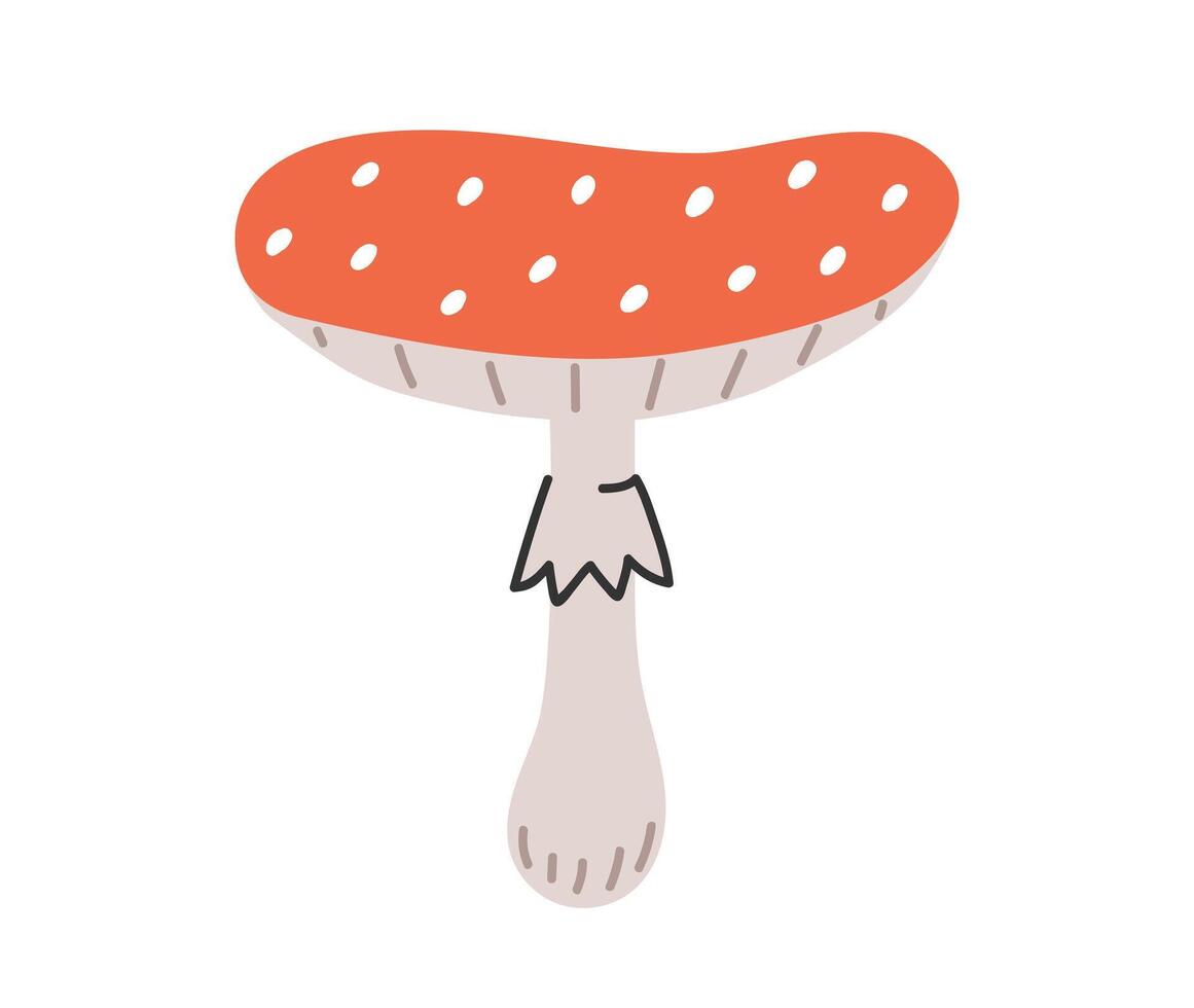 Hand drawn cute contemporary illustration amanita mushroom. Flat fly-agaric element in simple colored doodle style. Forest, nature, autumn sticker, icon or print. Isolated on white background. vector