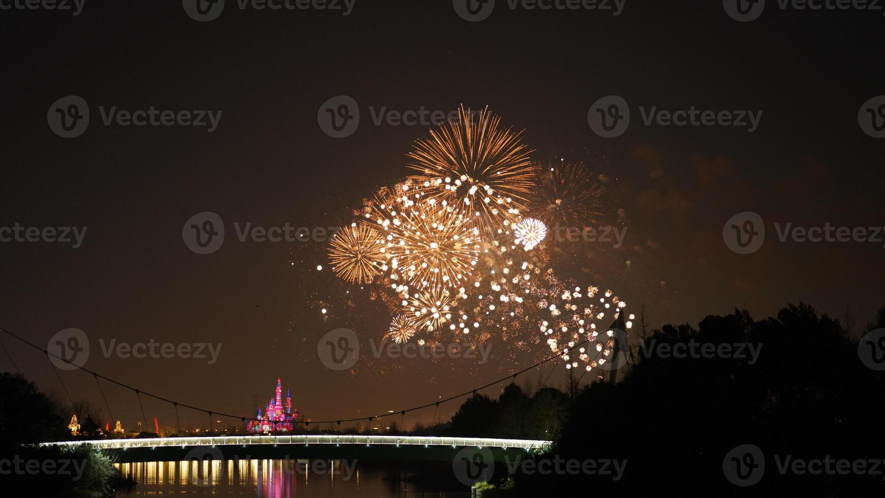 The colorful and beautiful fireworks show with the dark sky as background at night photo