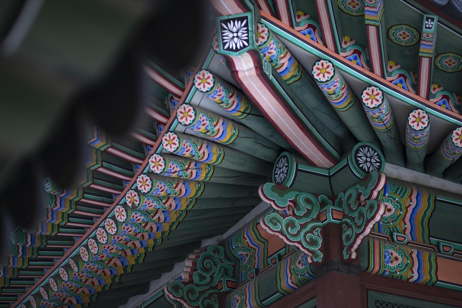 Roof of traditional Korean houses, Korean ancient architecture, snow, trees, and Korean-style houses photo