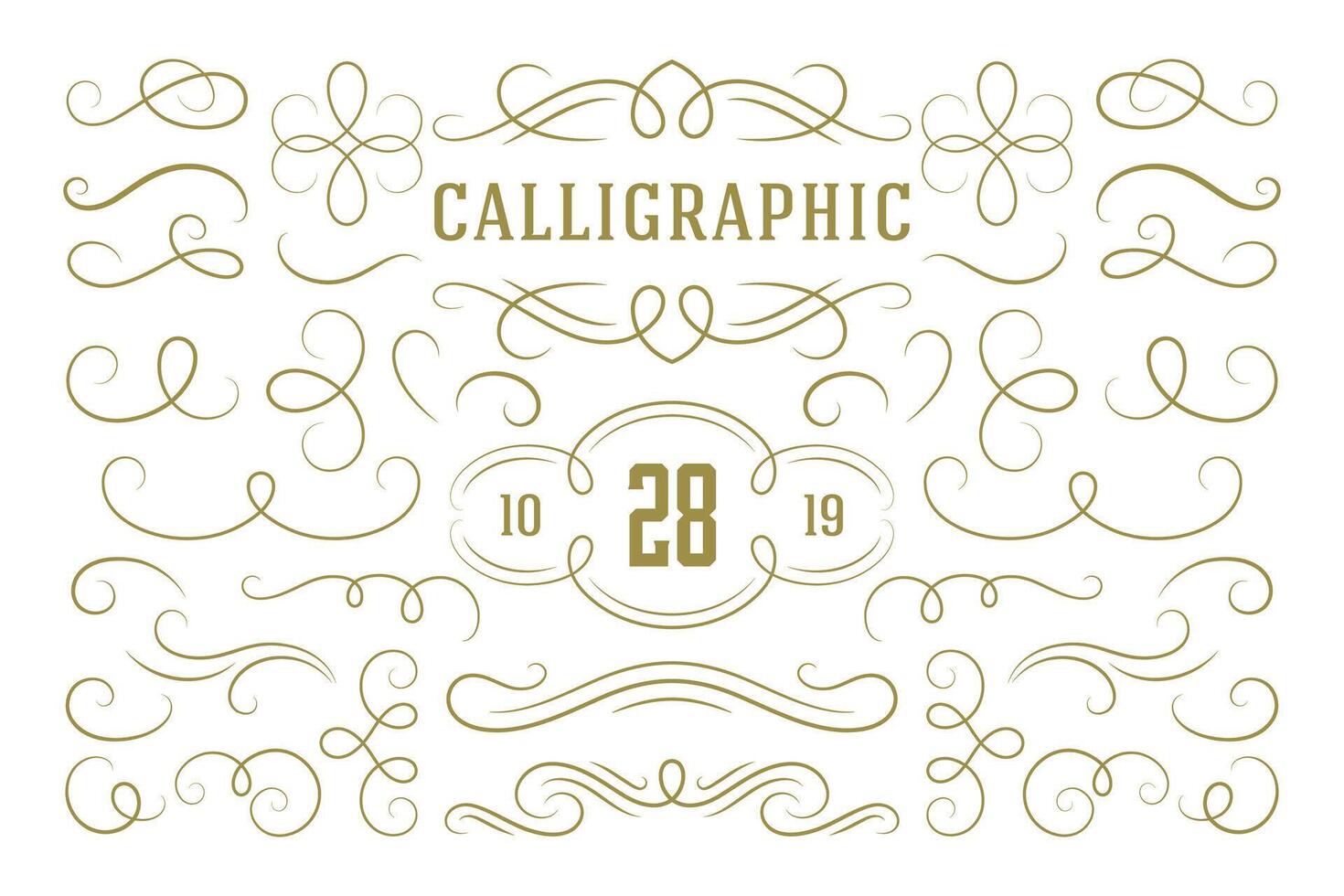 Calligraphic design elements vintage ornaments swirls and scrolls ornate decorations design elements vector