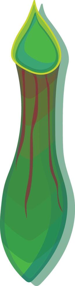 Isolated carnivorous plant vector