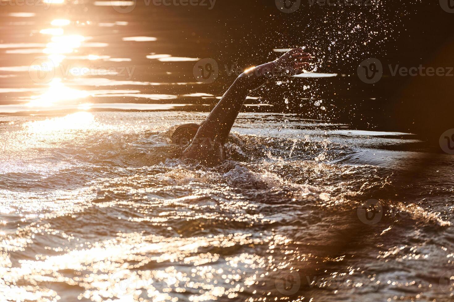 Triathlon athlete swimming on lake in sunrise wearing wetsuit photo