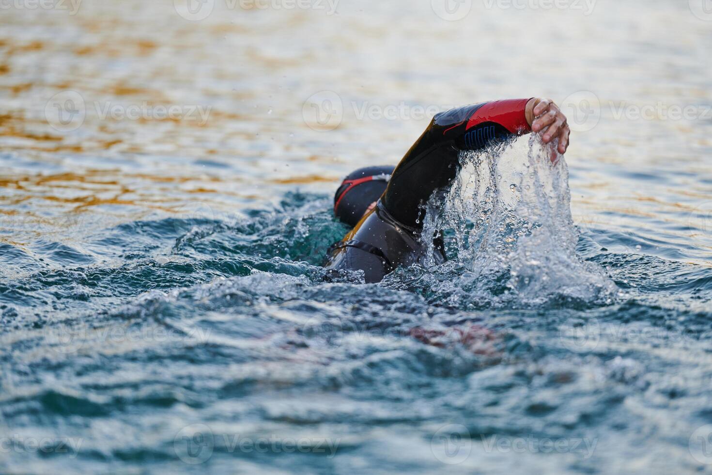 Triathlon athlete swimming on lake in sunrise wearing wetsuit photo