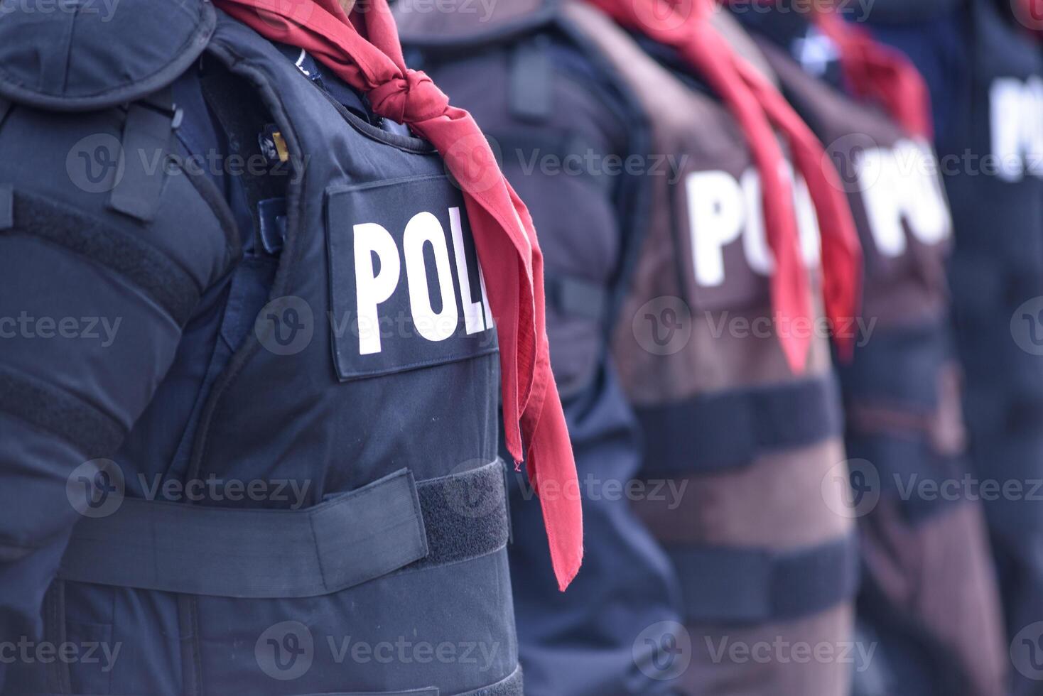 Riot police control the crowd.. photo