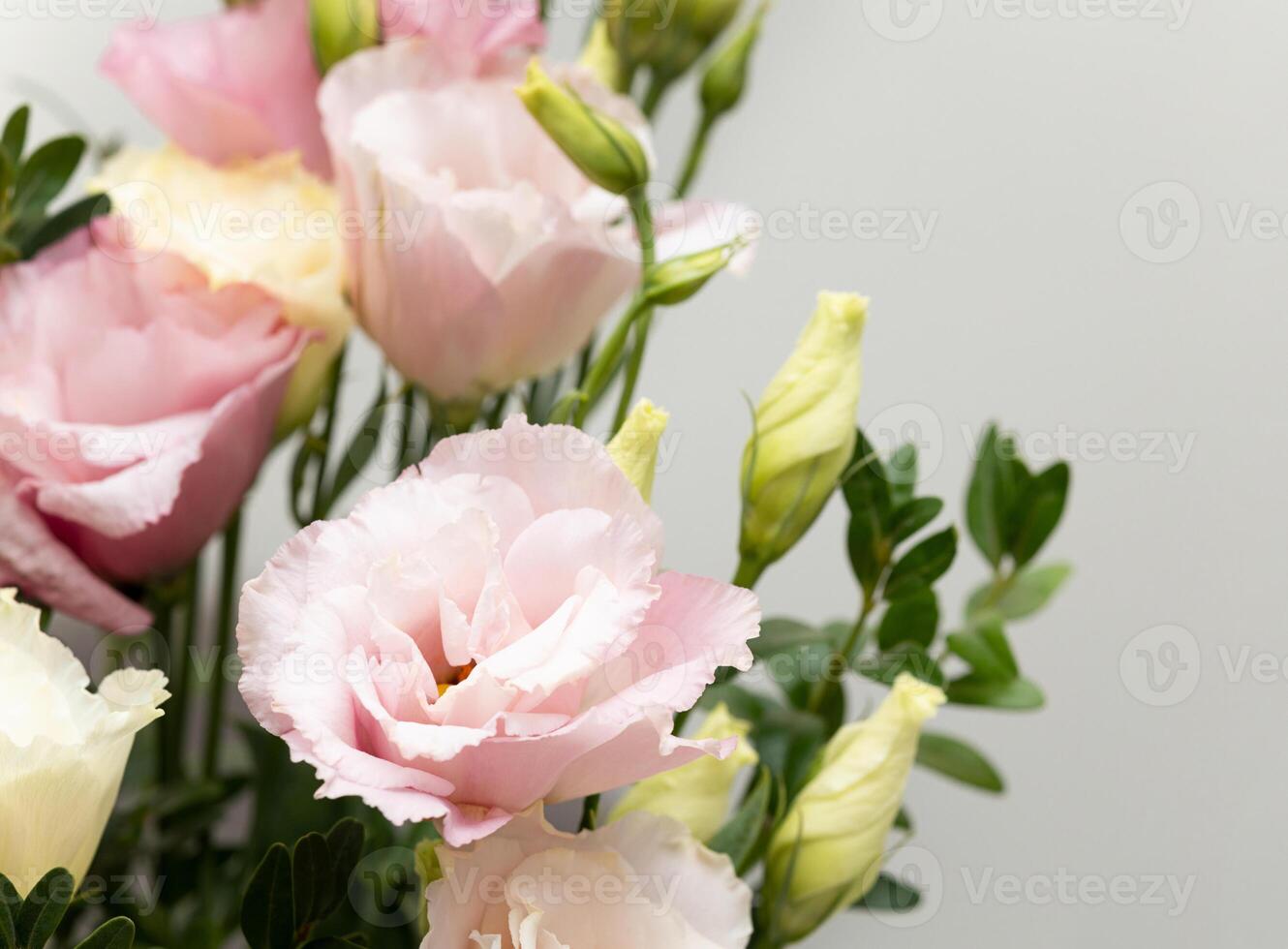 Close-up of pink eustoma flowers in bouquet on neutral light background, space for text photo