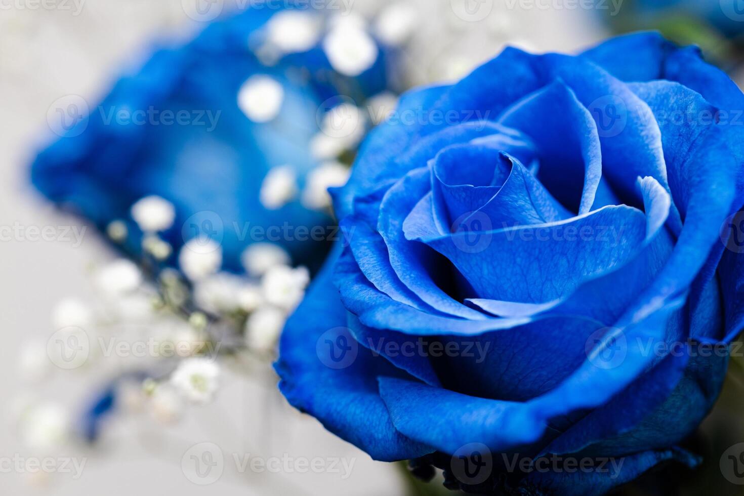 blue roses in bouquet with gypsophila on neutral background. Soft focus, close-up. Invitation or postcard concept, copy space photo