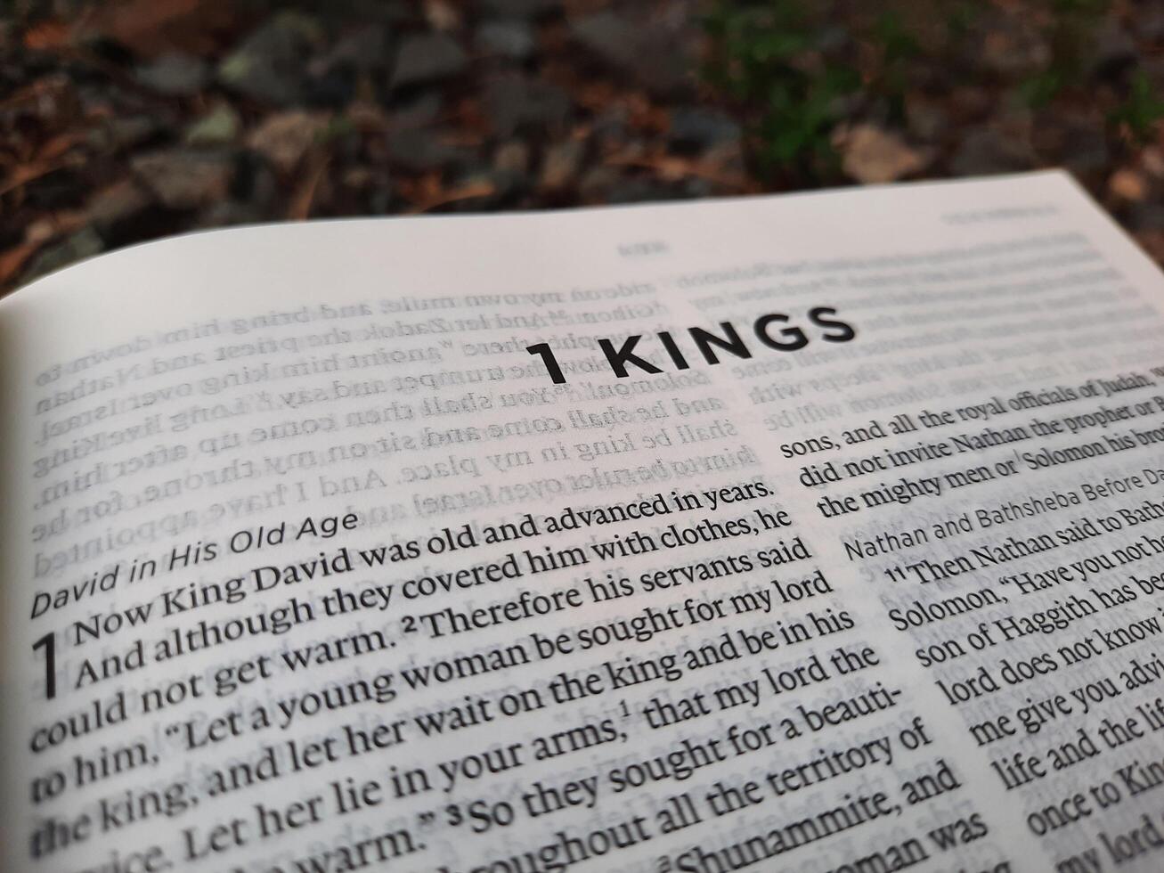 close up photo of a Bible page