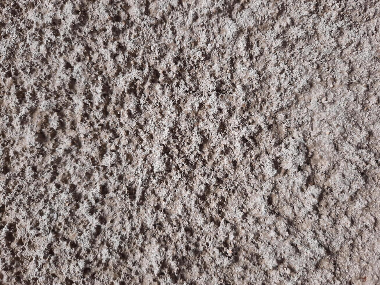 cement wall texture photo