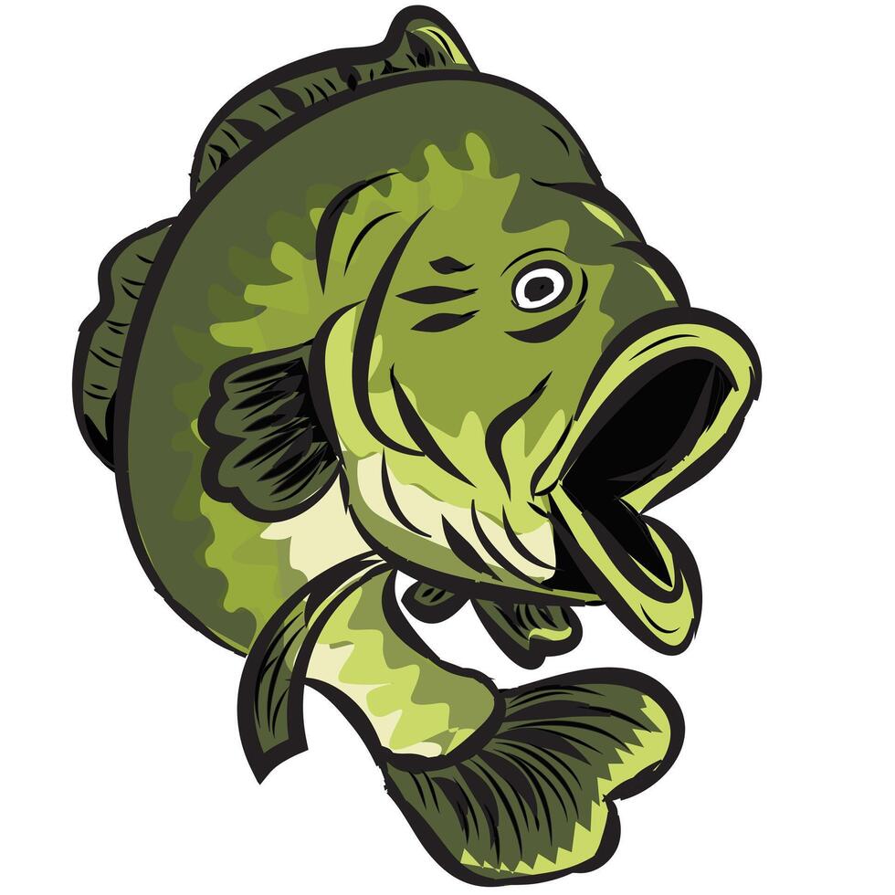 Bass Fish Illustration vector