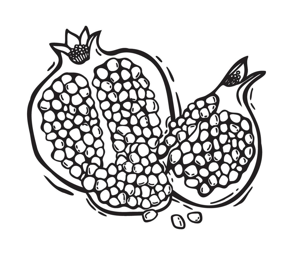 composition of pomegranate halves with pulp. Botanical black and white illustration, hand drawn in linocut style. Drawing for food and cosmetics packaging design, menus, recipes, postcards vector