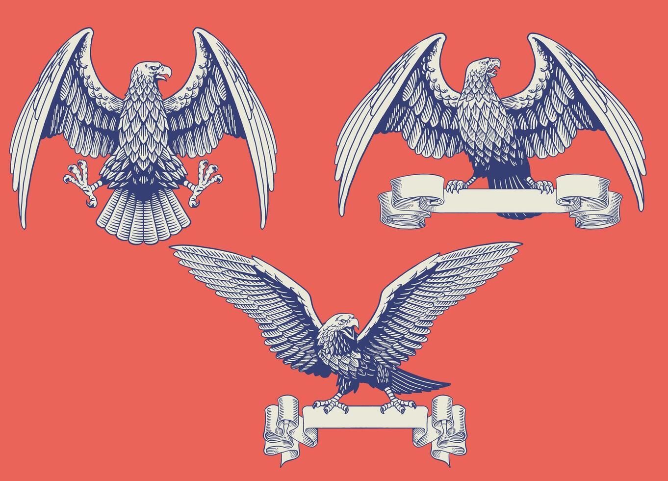Vintage Illustration Set of Bald Eagle vector
