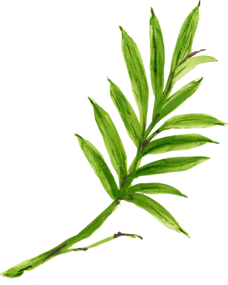 Watercolor eastern asian chinese japanese nature rich symbol png
