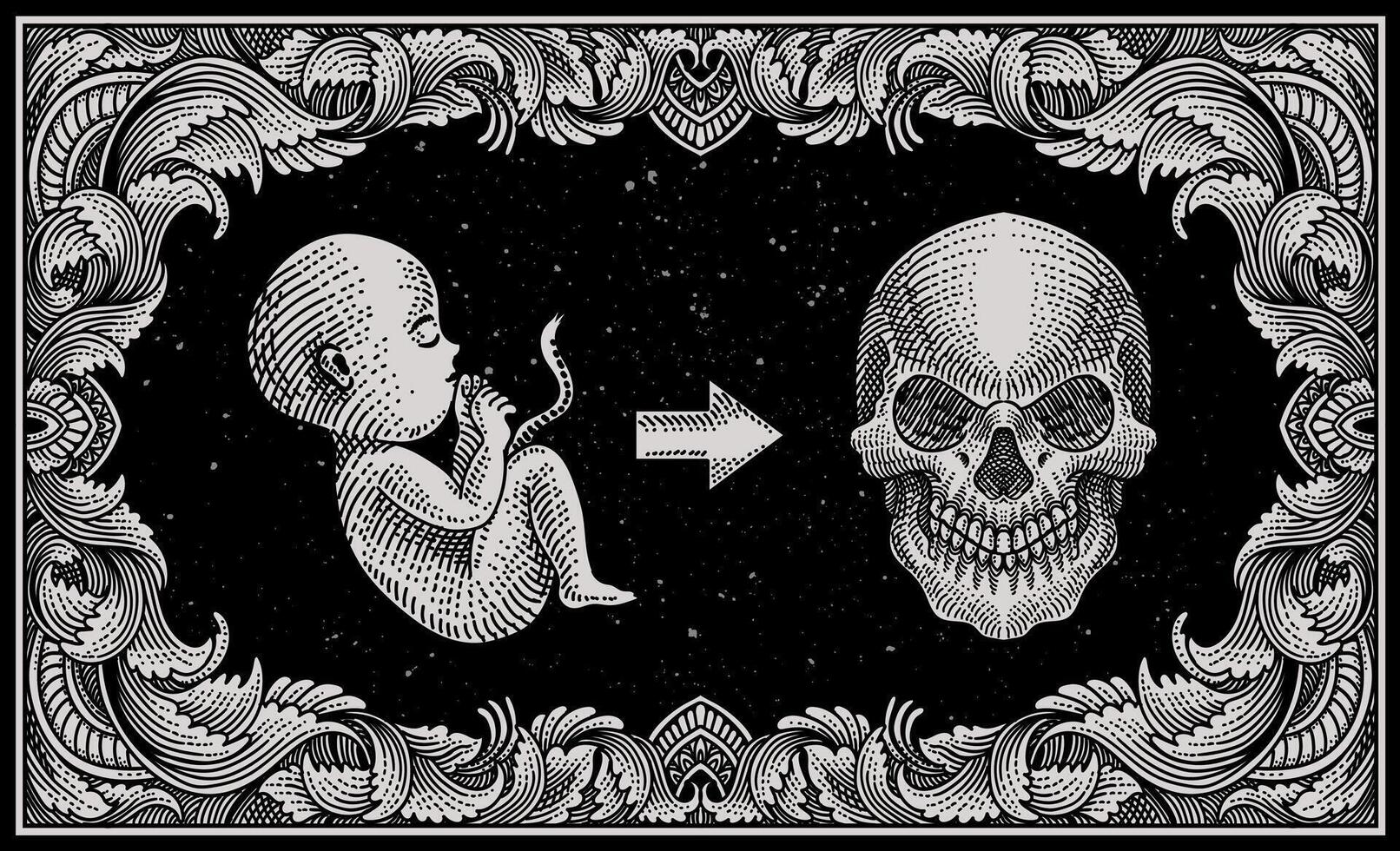 Illustration born to die, fetus and skull on engraving ornament frame - illustration vector