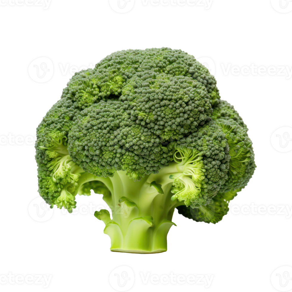 Large Inflorescence of Green Broccoli. Raw Green Food. Isolated on Background png