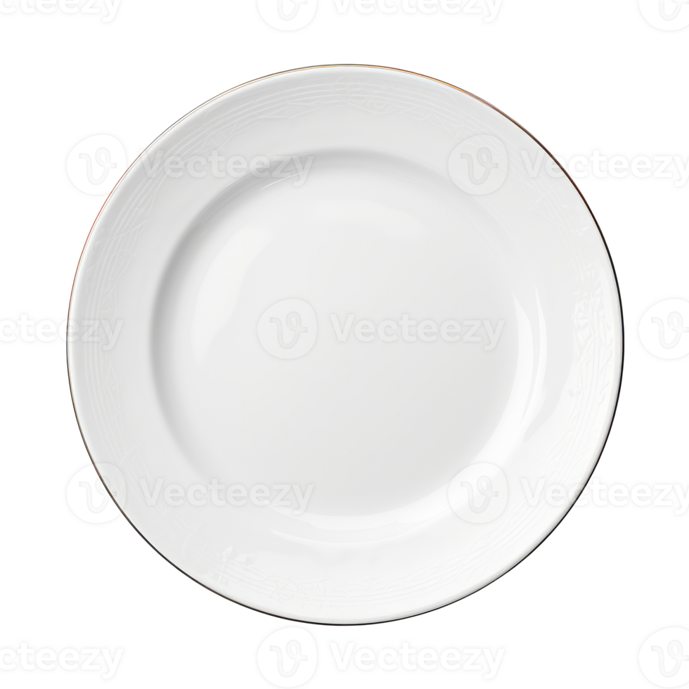 Empty Classic White Dinner Plate with Subtle Curve. Isolated on Background png