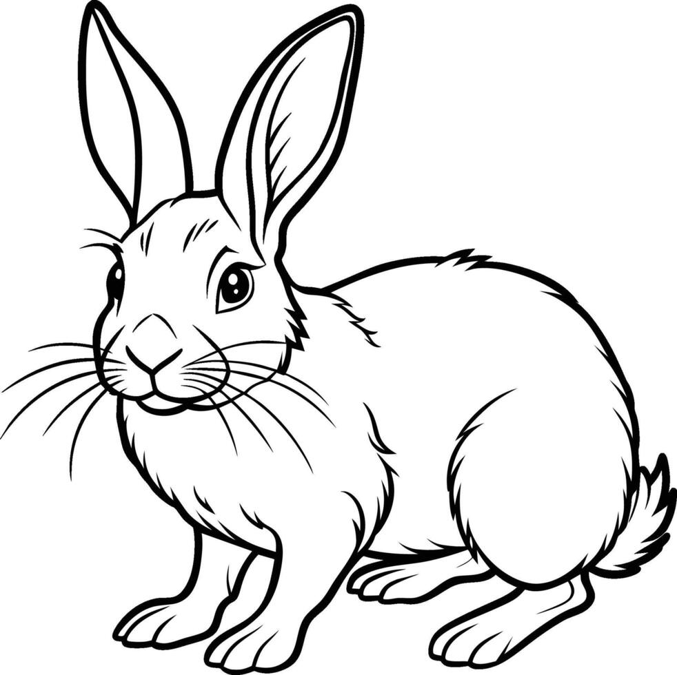 black and white rabbit illustration vector