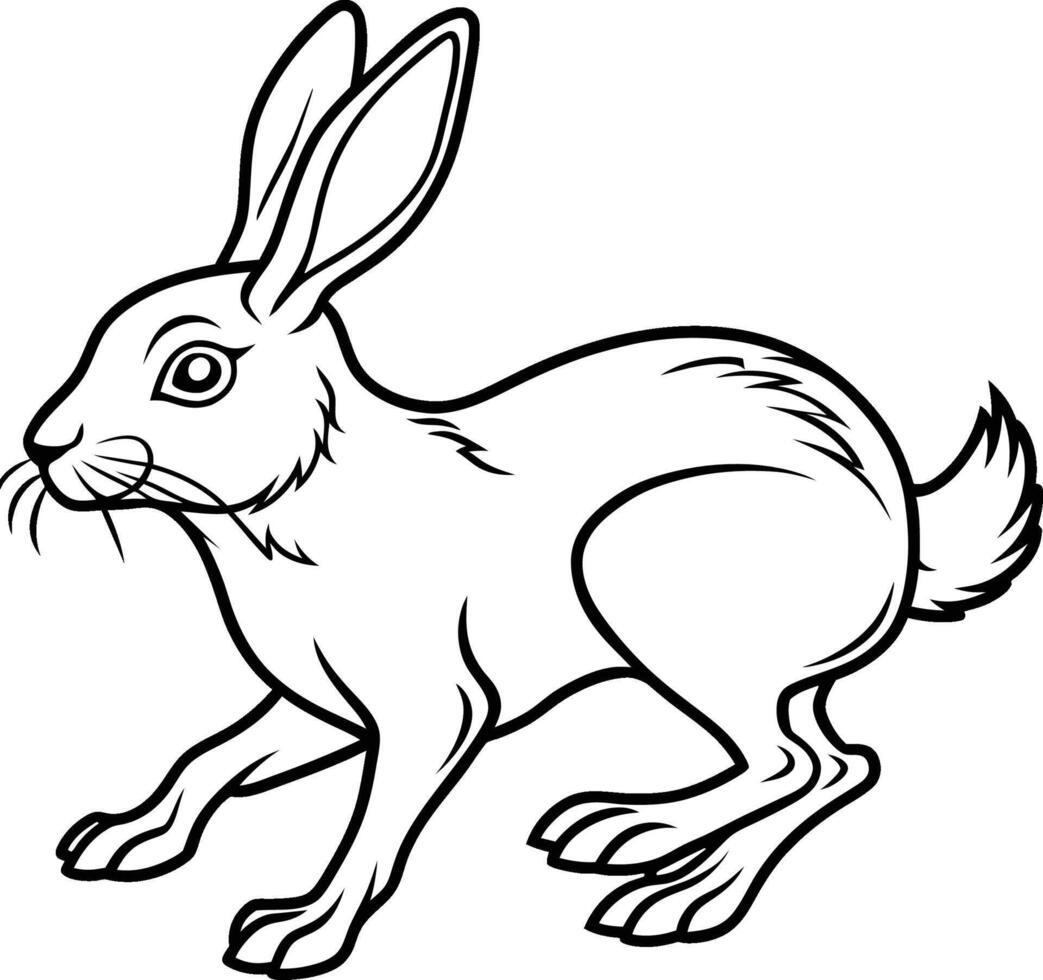 black and white rabbit illustration vector