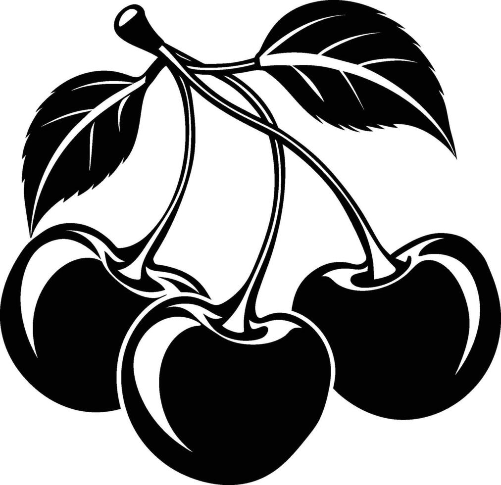 illustration of cherries and leaves vector