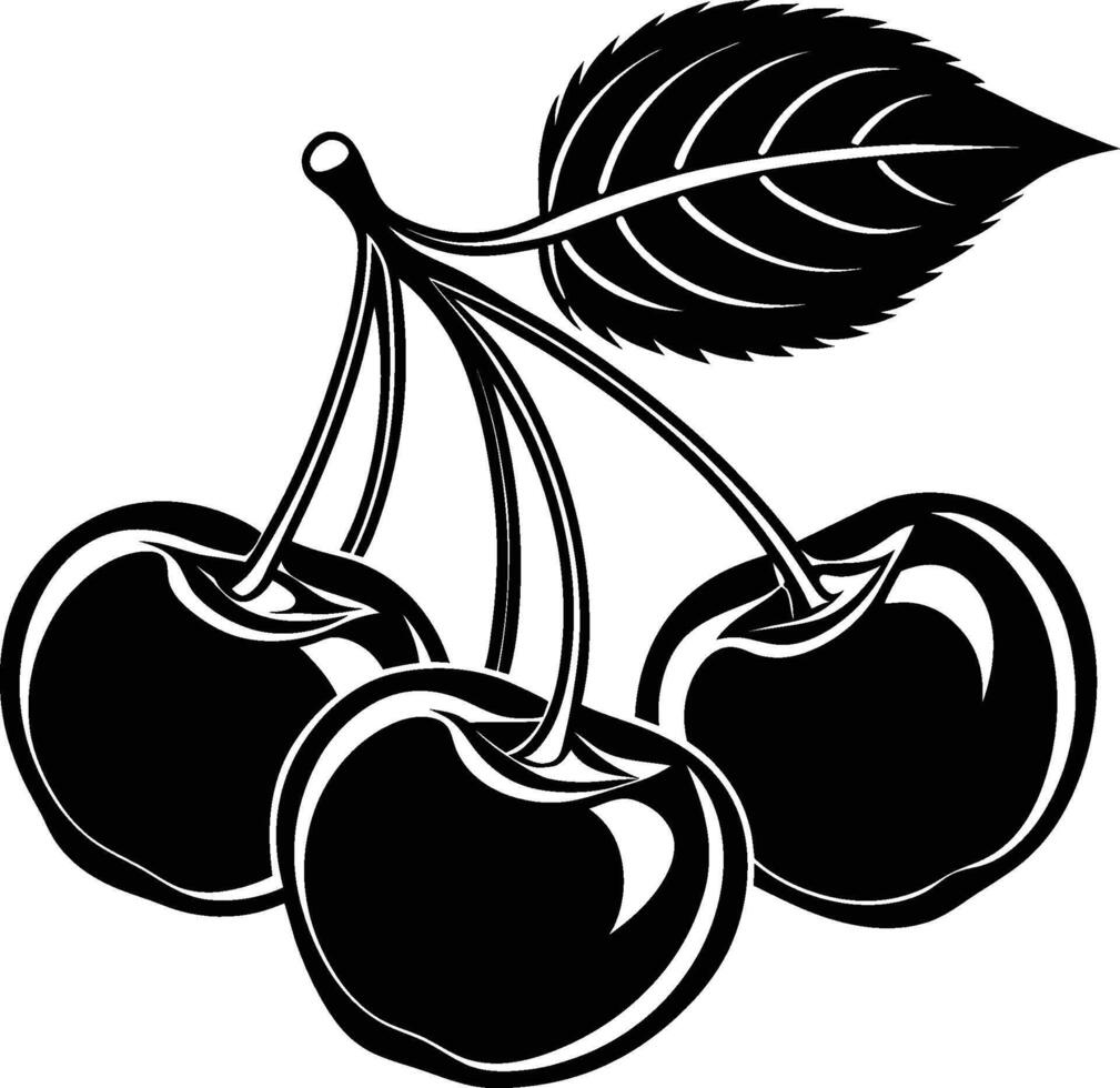 Cherry Fruit illustration vector