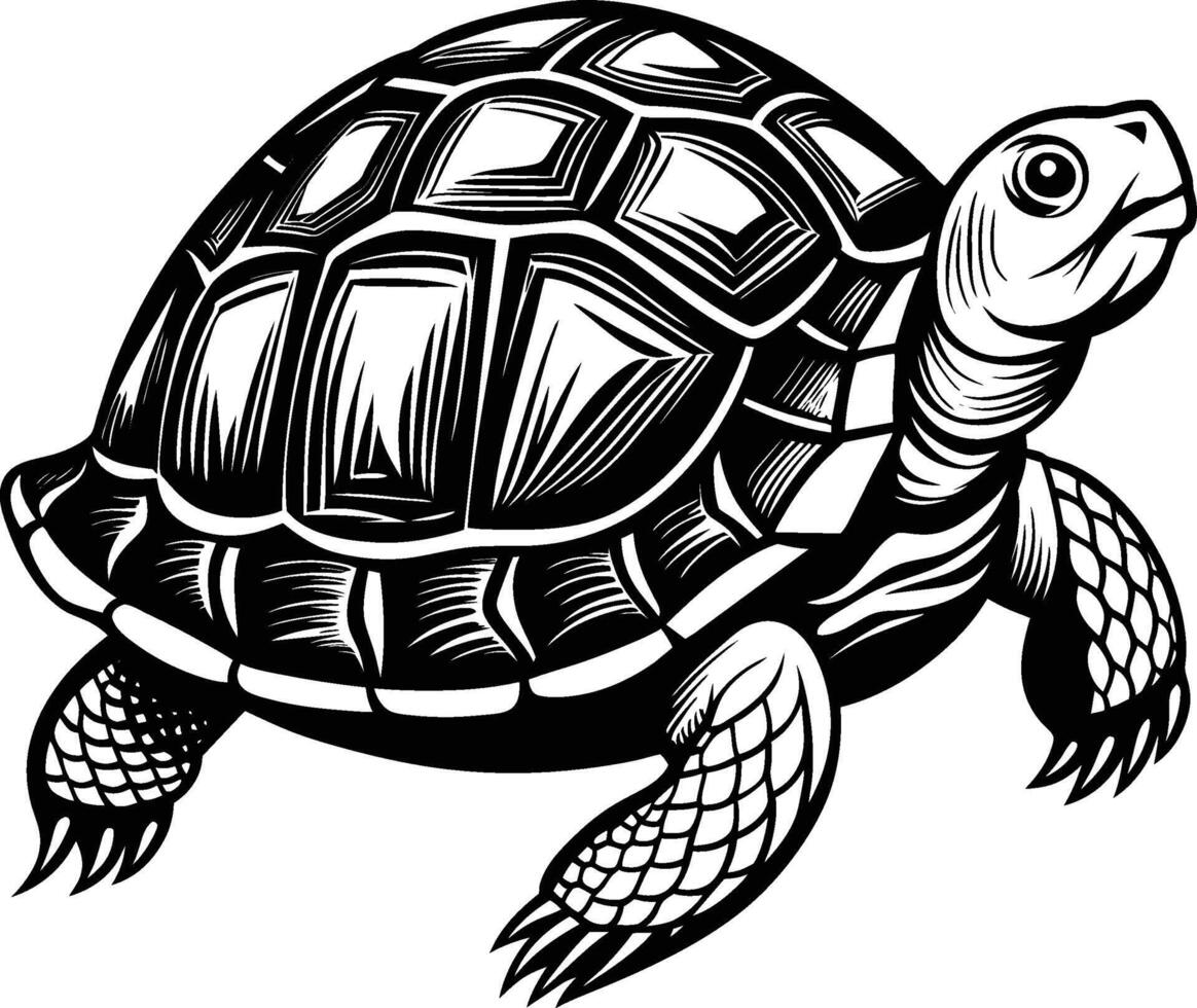 turtle illustration eps 10 vector
