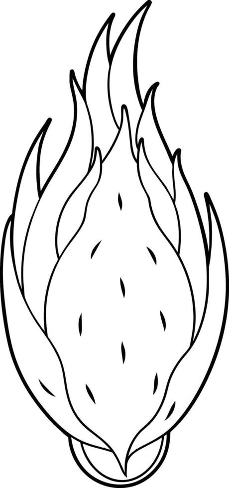 illustration of a dragon fruit vector
