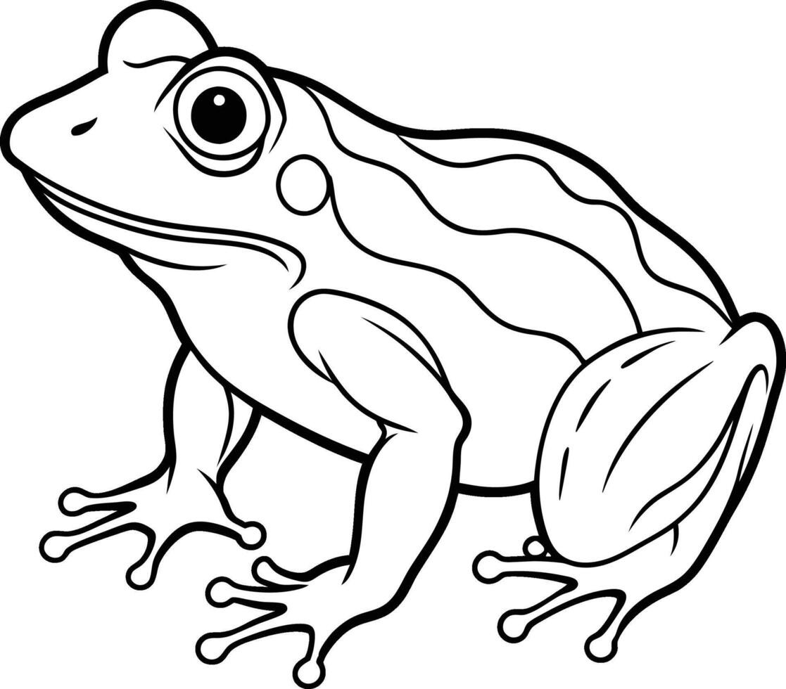 frog on white background vector