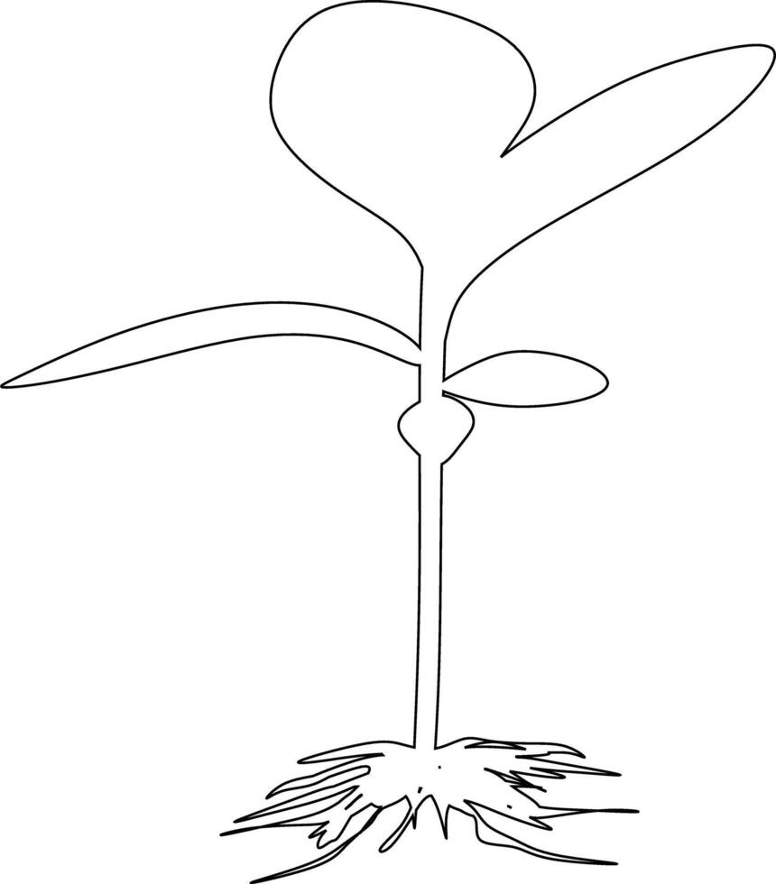 One line art. continuous line art. a flower isolated on white vector