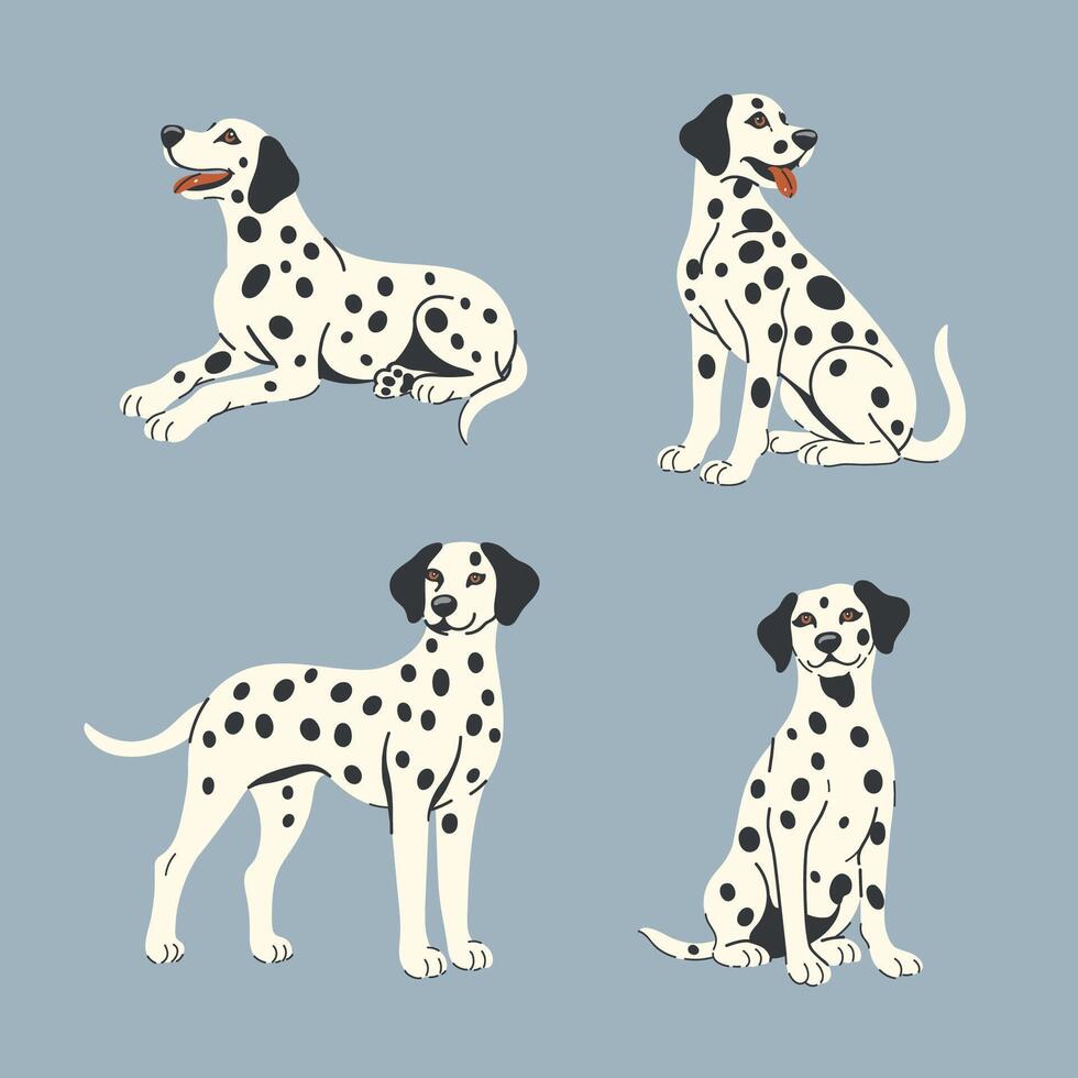 Set of four Dalmatian dogs in different poses. graphics. vector