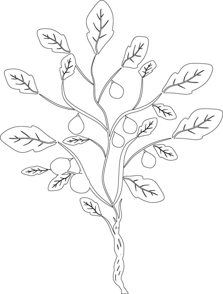 The illustrations and clipart. Cartoon image of a tree. tree icon. vector