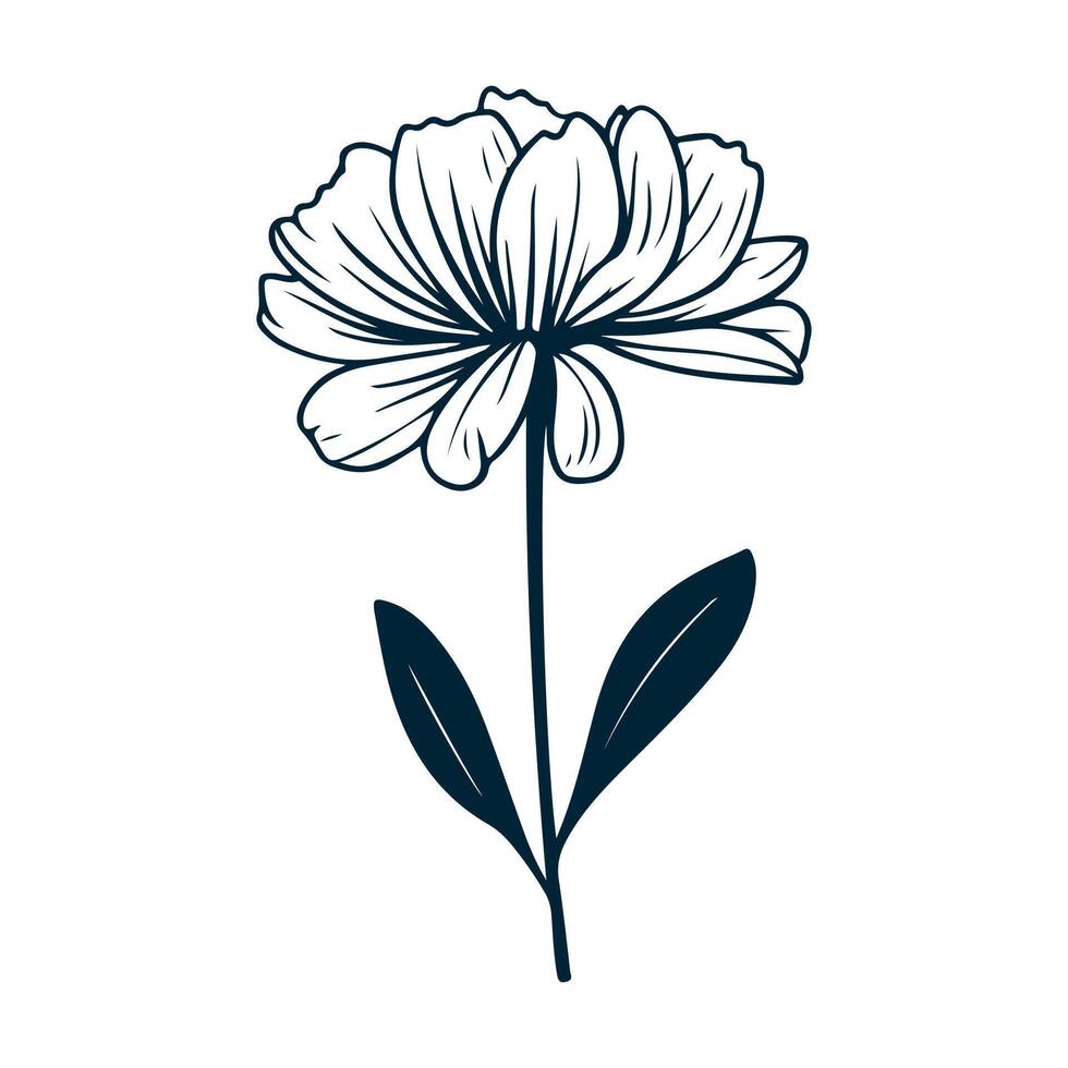 One Line Drawing of Flower, Botanical arts. Hand drawn continuous line drawing of abstract flower, floral, ginkgo, rose, tulip, bouquet of olives. illustration. vector