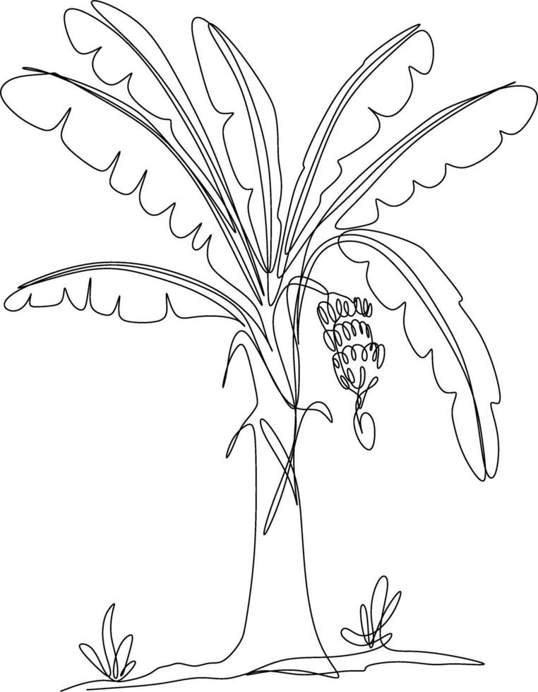 one line art. one continues line art. a banana tree isolated on white vector
