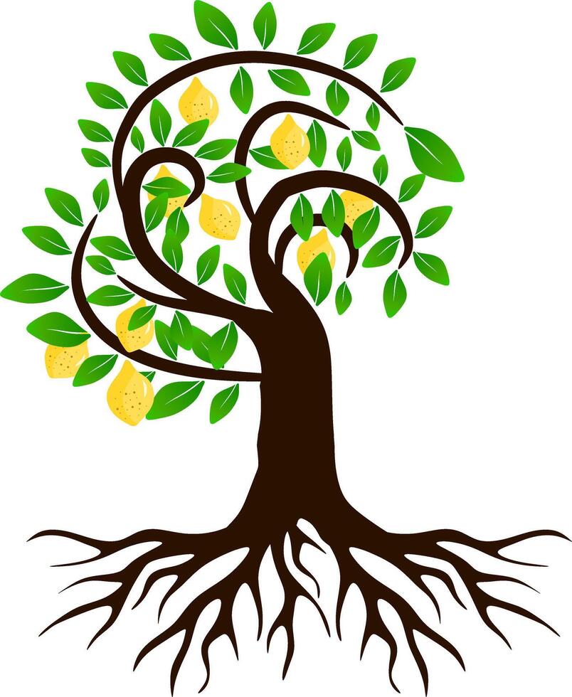 The illustrations and clipart. Cartoon image of a tree. tree icon. vector