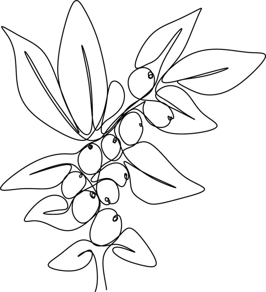 one line art. one continuous line. a tree branch with fruits hanging on vector
