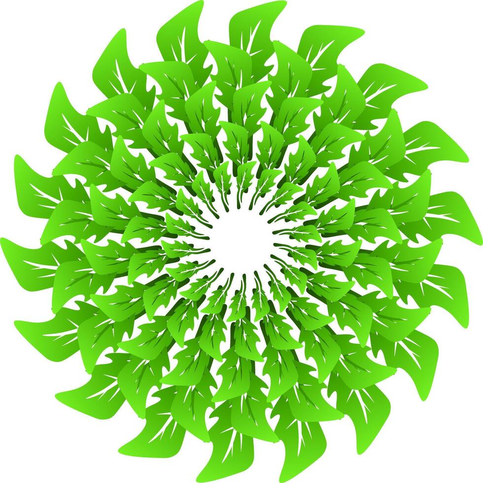 green leaves in circle pattern on white background vector
