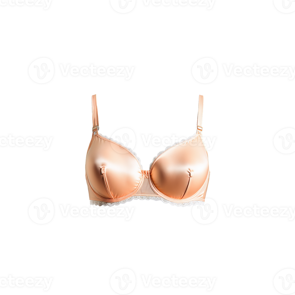 Soft Peach Microfiber Bra A soft peach microfiber bra with a delicate feminine color offering png