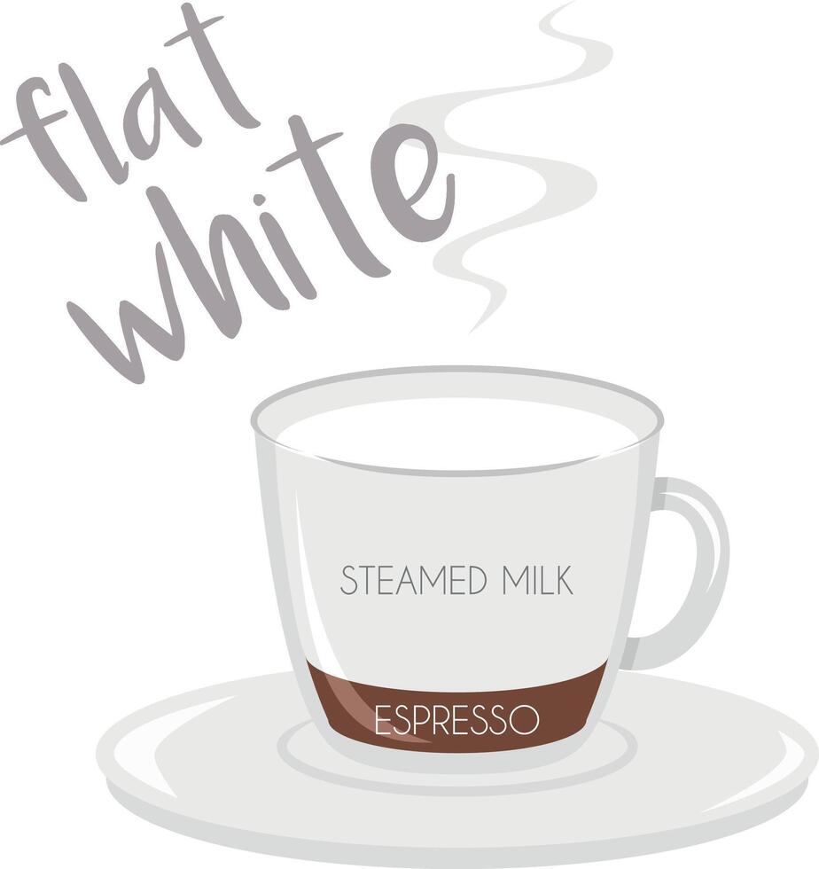 illustration of a Flat White coffee cup icon with its preparation and proportions. vector