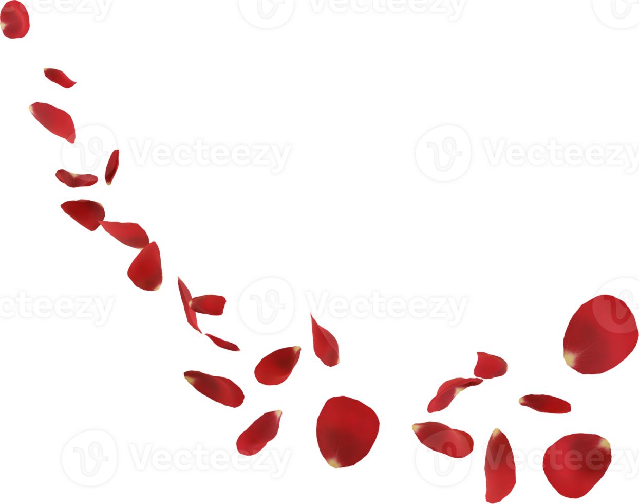 red rose petals png
