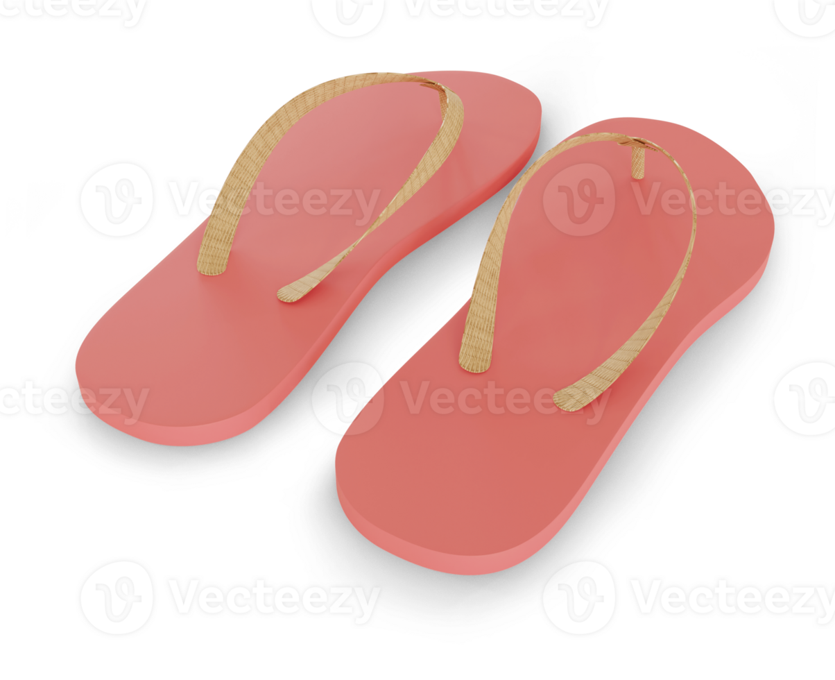 pair of slippers png