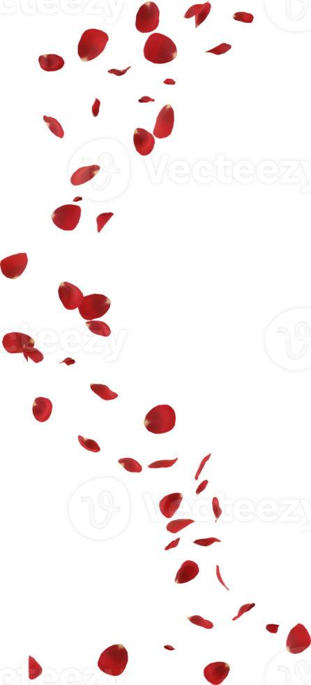 falling rose flower png