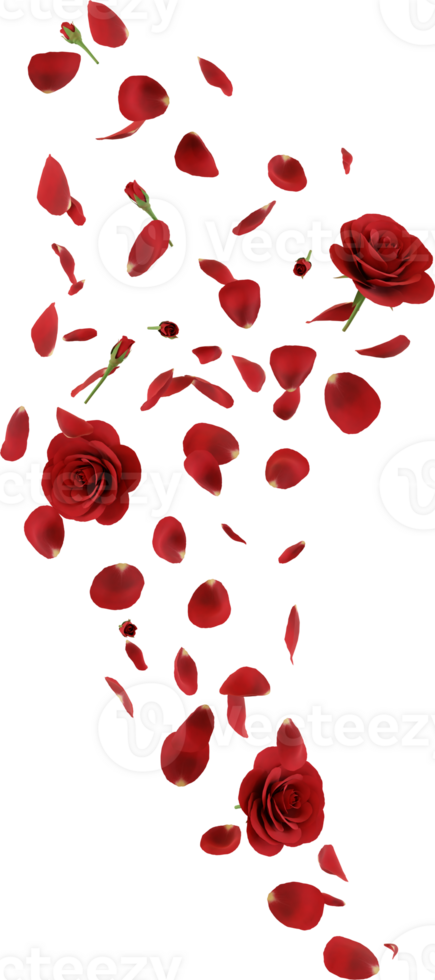 red rose flower png