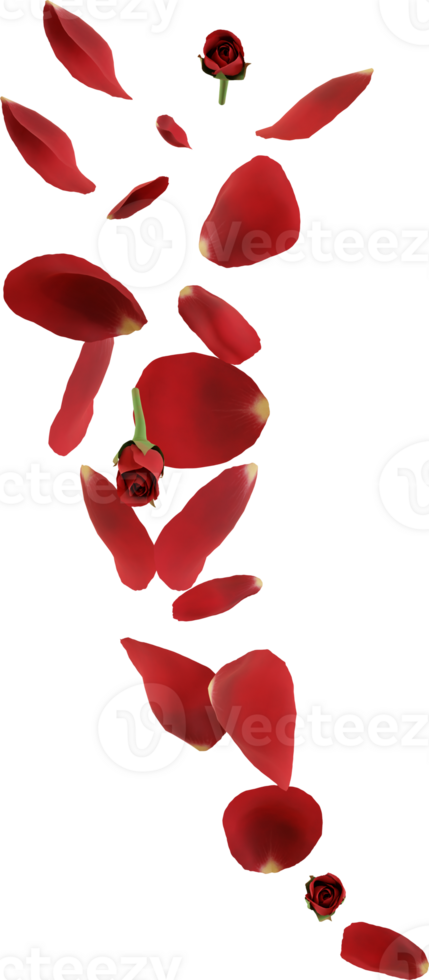 red rose flower png