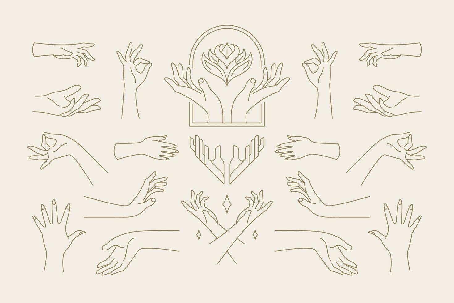 Female hands gestures collection of line art hand drawn style illustrations. vector