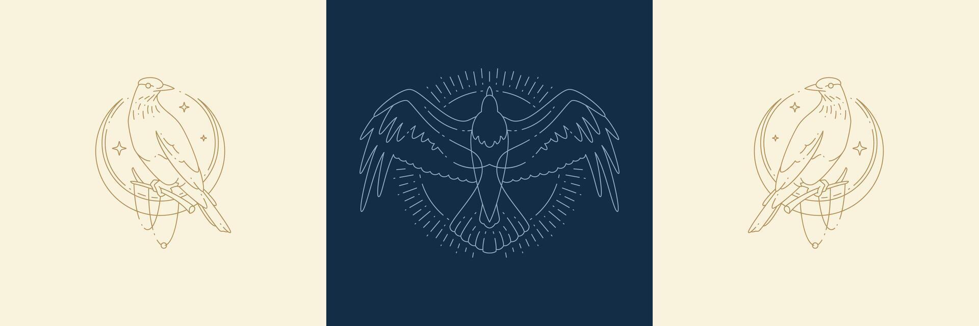 Magic birds on moon and flight raven in boho linear style illustrations set. vector