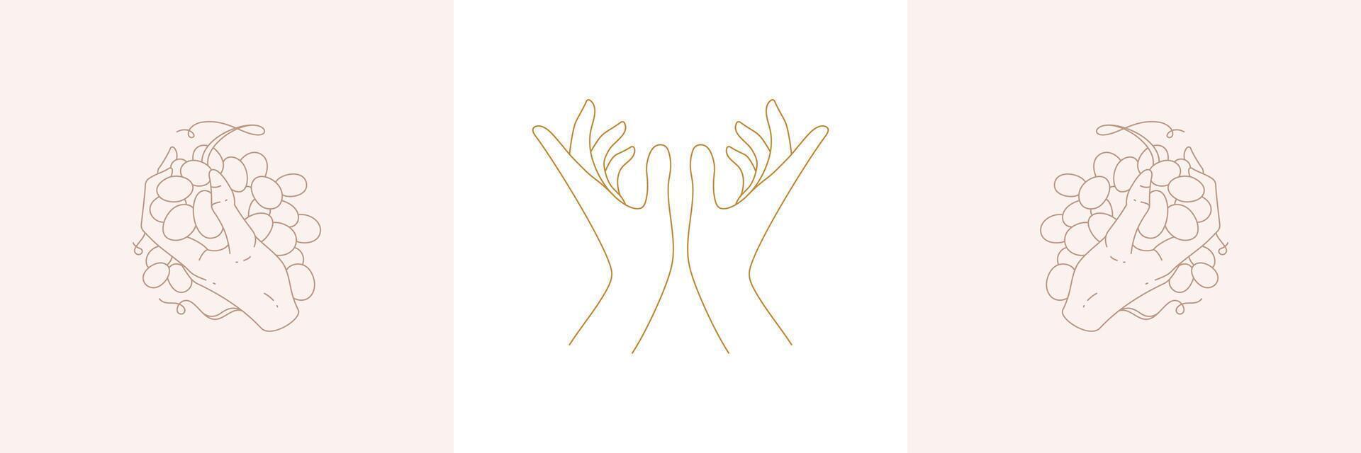 Hands holding grapes and offering prayer gesture in boho linear style illustrations set. vector