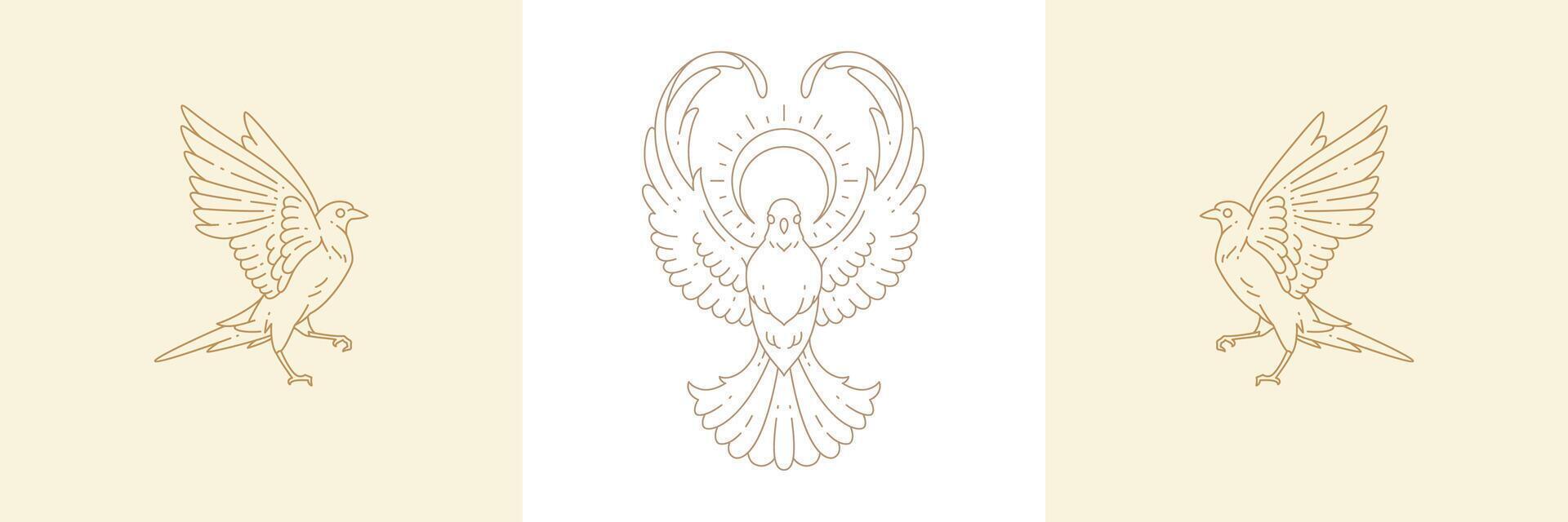 Magic birds and flight dove with sun in boho linear style illustrations set. vector