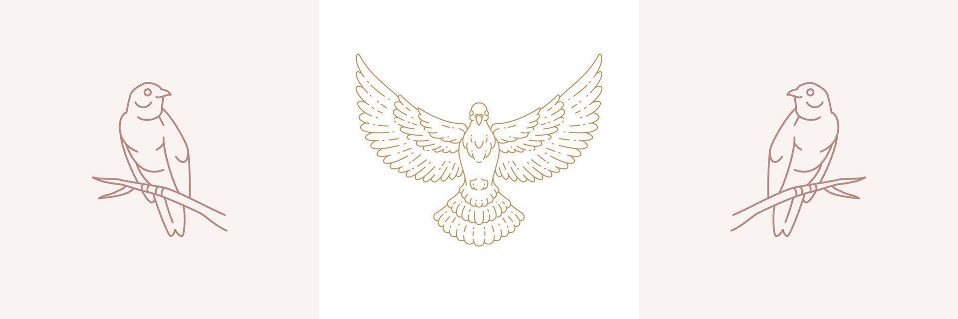Outline design of golden emblems for birds vector