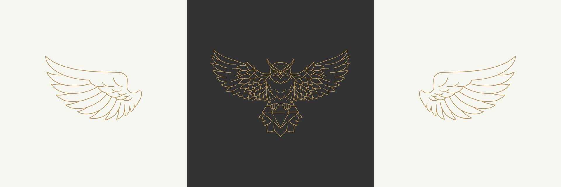 Magic linear wings of nocturnal wild owl in boho linear style illustrations set. vector