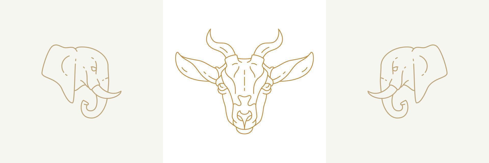 Heads of elephants and goat in linear style illustrations set. vector