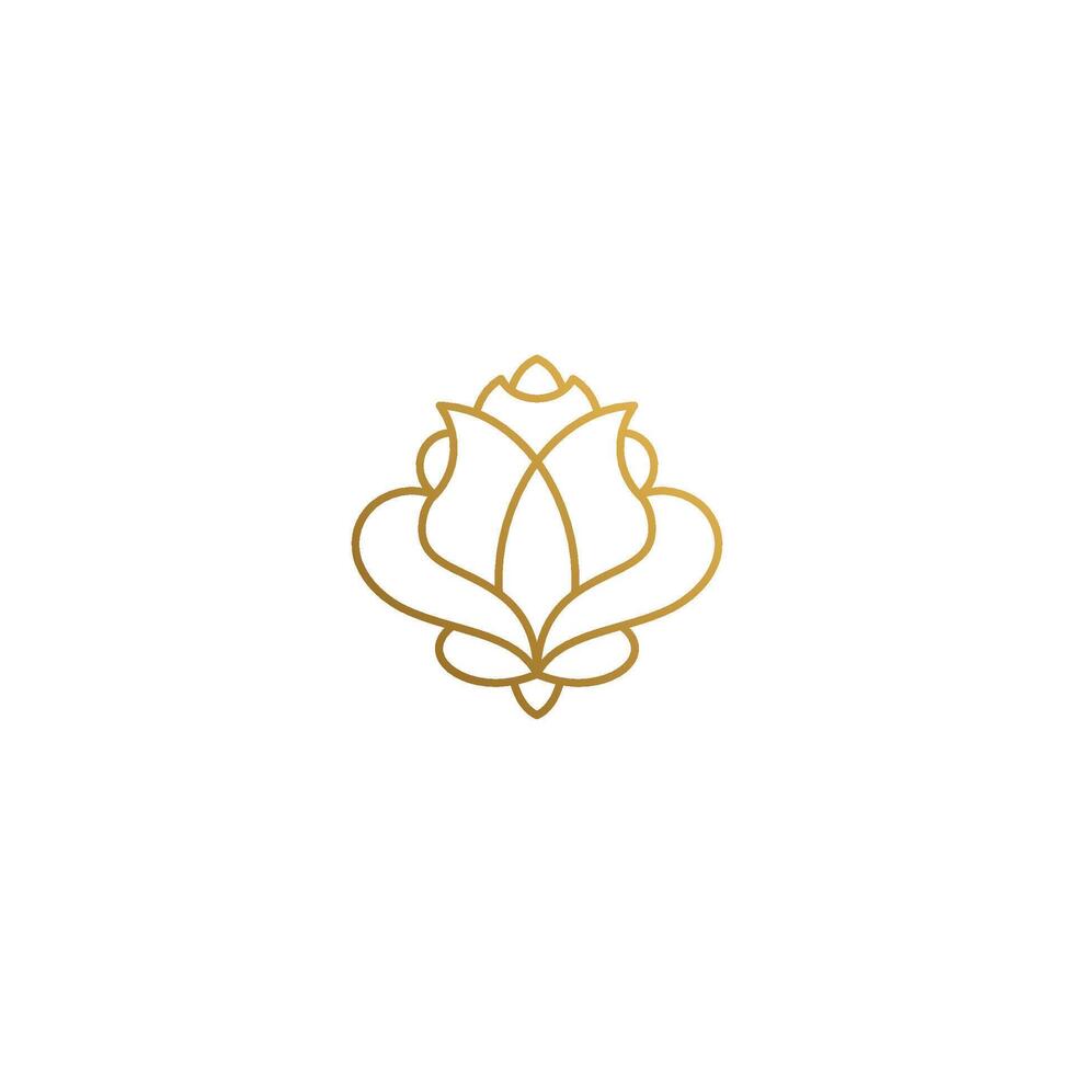 Outline design of elegant rose hand drawn with thin lines vector