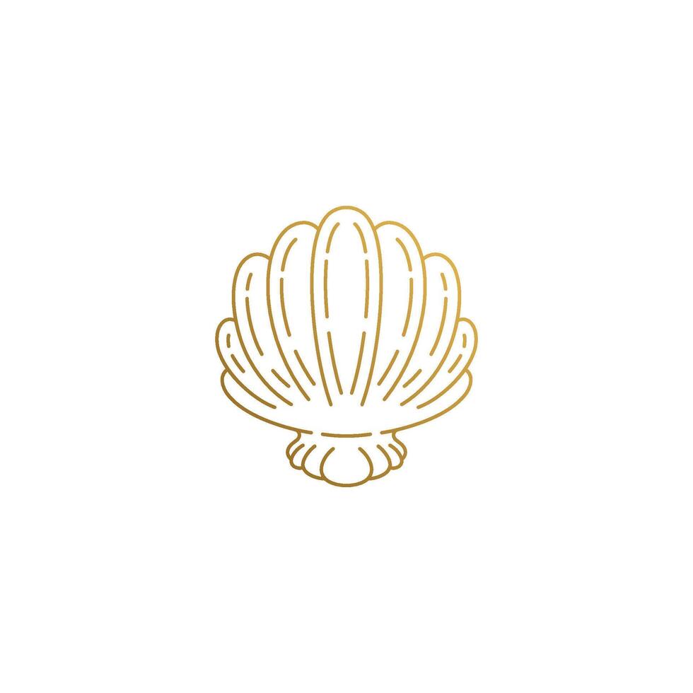 icon of elegant seashell hand drawn with thin lines vector